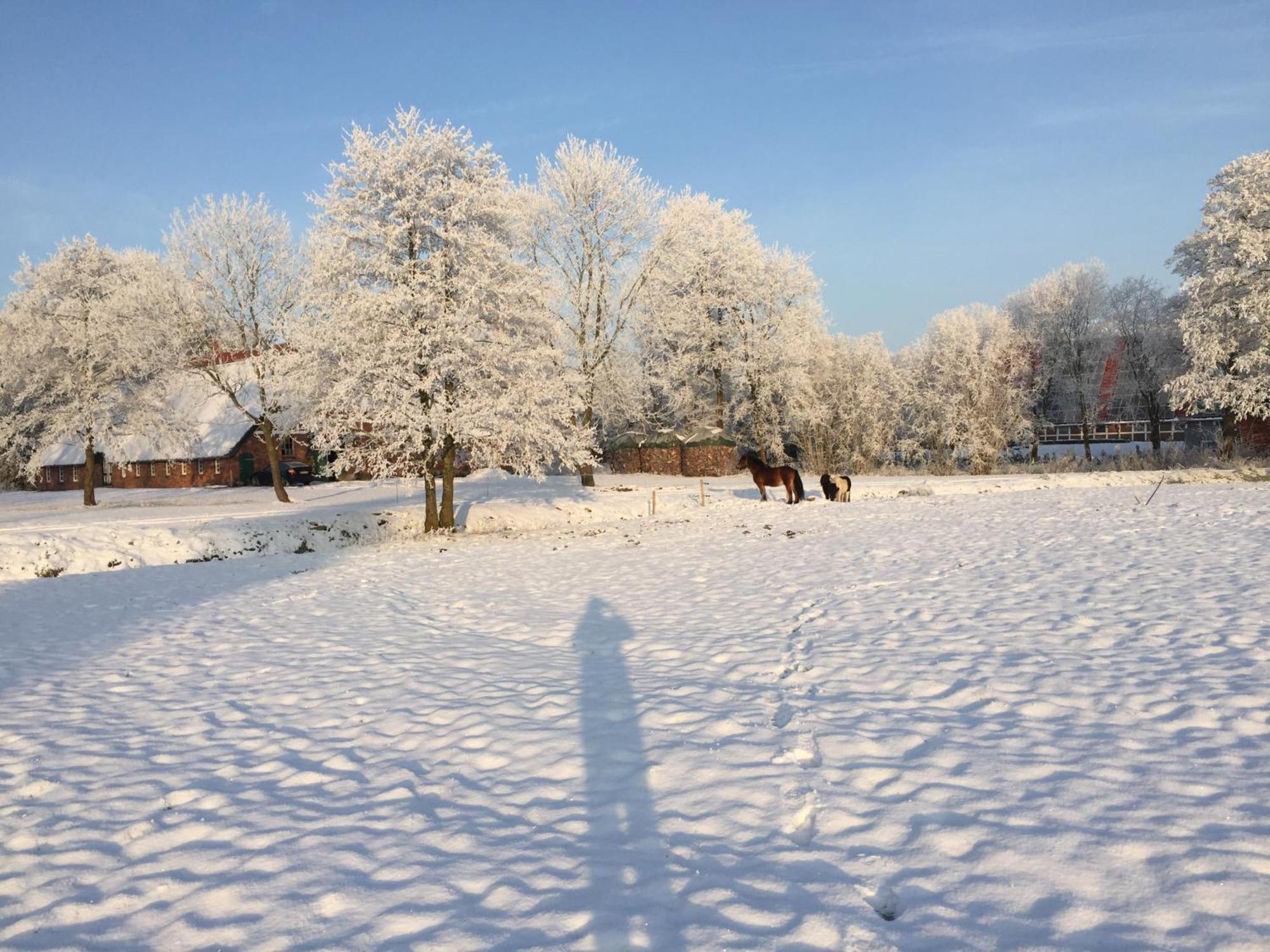 Ferienwohnung Suderfeld Brake  Zewnętrze zdjęcie