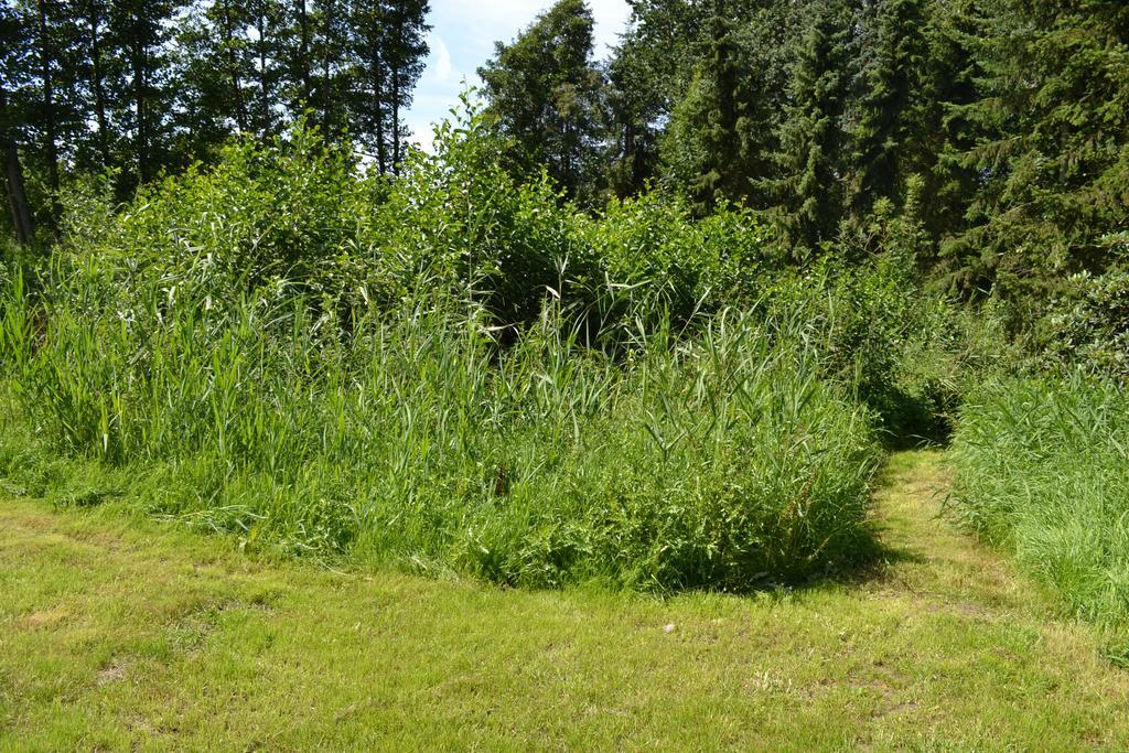Ferienwohnung Suderfeld Brake  Zewnętrze zdjęcie