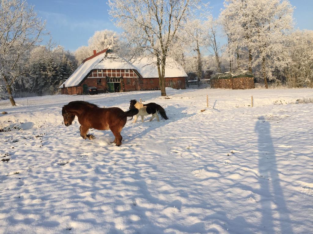Ferienwohnung Suderfeld Brake  Zewnętrze zdjęcie